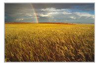 Africa Landscapes