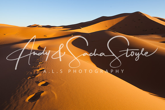 Merzouga 146