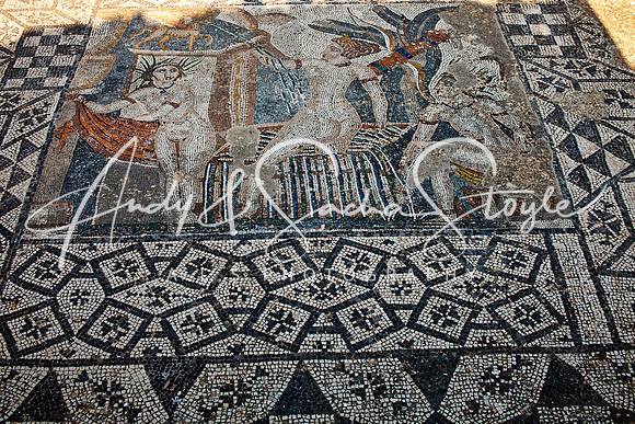 Volubilis 007