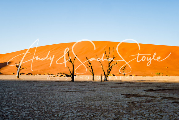 19Deadvlei11