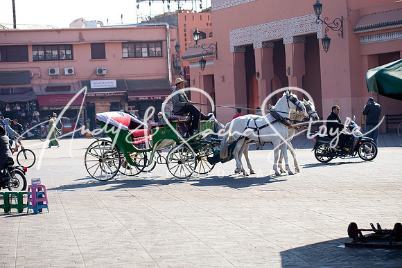 Marrakech 023
