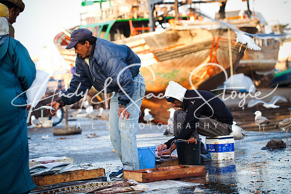 Essaouira 054