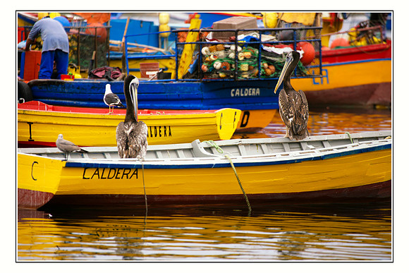 Chile Caldera Norte Chico 01