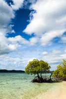 01Palawan07