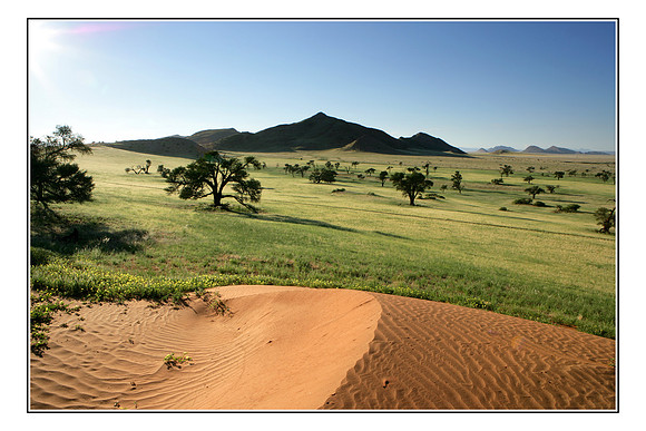 075 Namib Desert Sunrise
