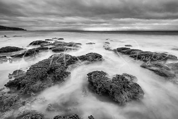 03Vale-DunravenBay17
