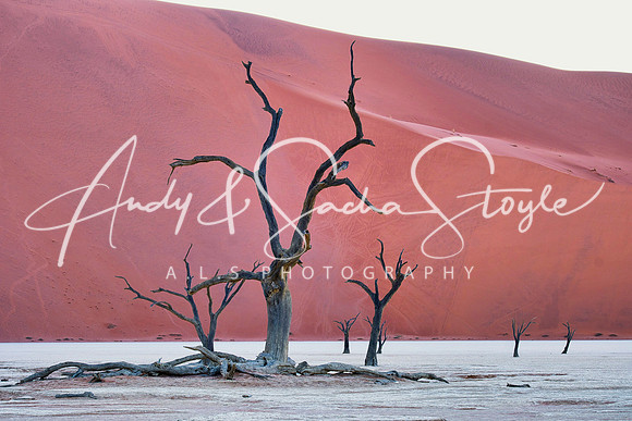 19Deadvlei03