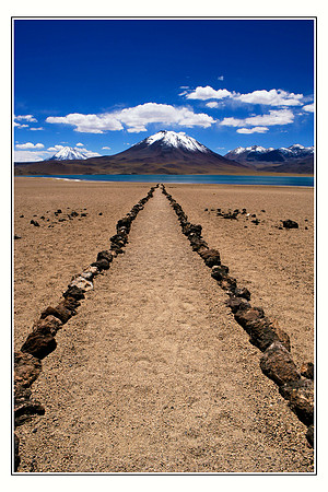 Chile Laguna Miscanti Atacama Norte Grande04