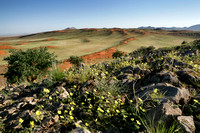 01TsondabVlei19
