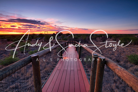 07Etosha05