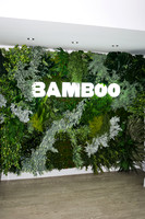 BambooDental-01