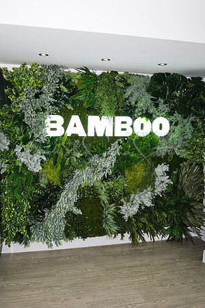 BambooDental-01