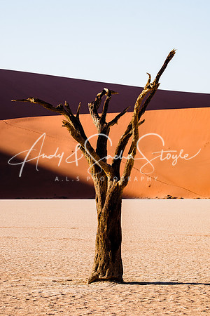 19Deadvlei20