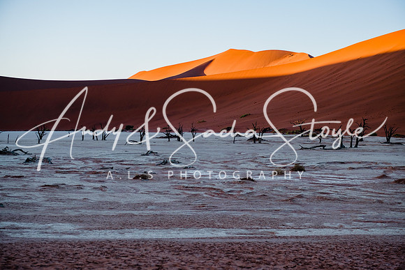 19Deadvlei24