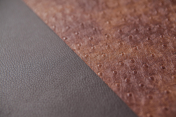 Jorgenson Traditional Album 03