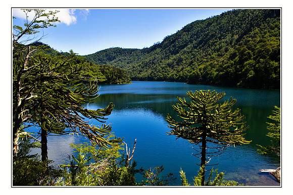 Chile Parque National Huerquehue  Pucon 03