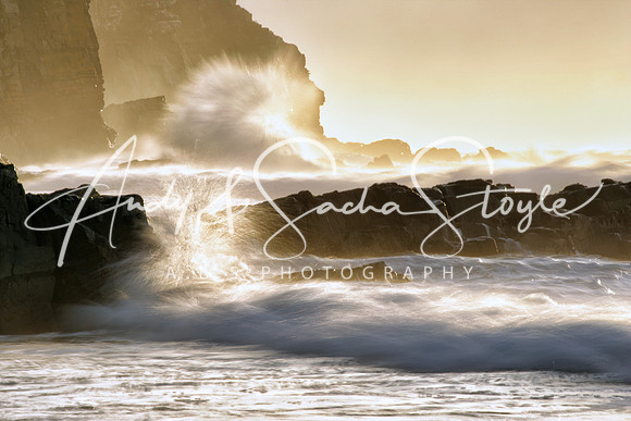 14WildCoast02