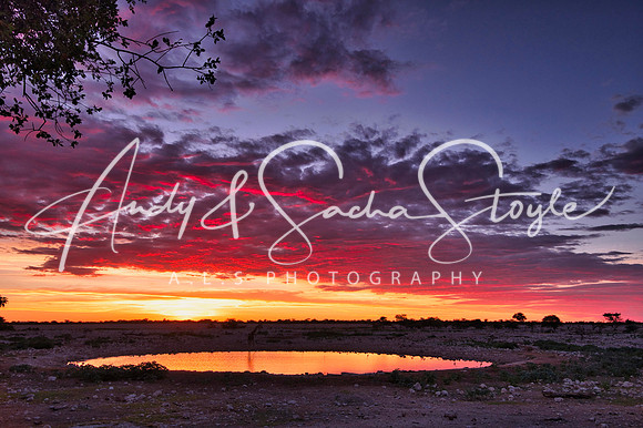 07Etosha01