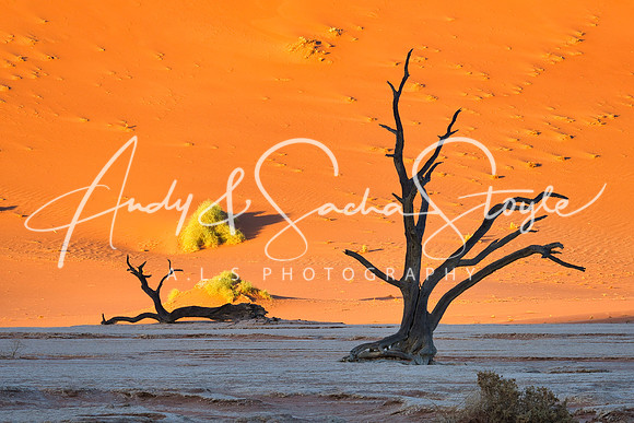 19Deadvlei02