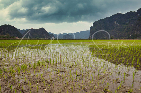 04-NinhBinh-03