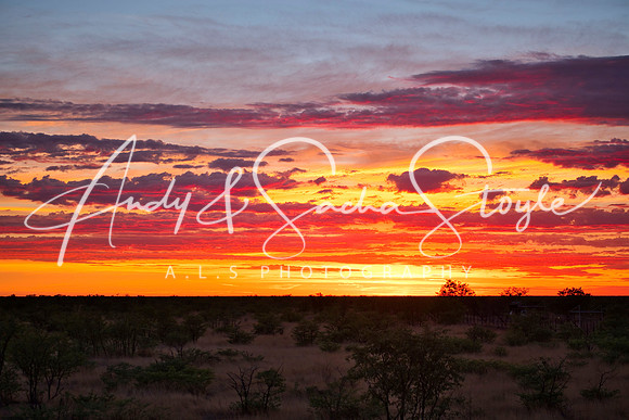07Etosha13