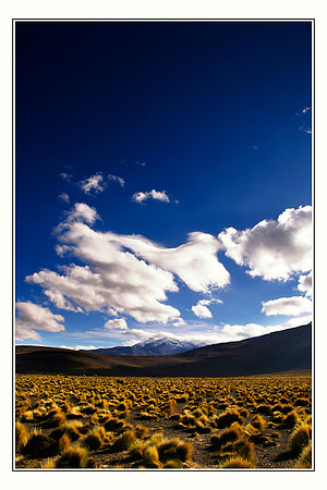 Chile El Tatio Geysers Atacama Norte Grande 04