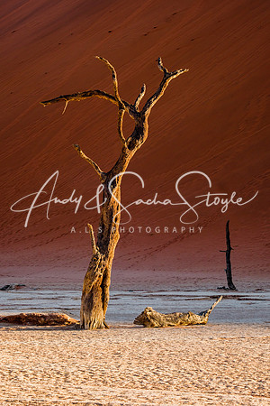 19Deadvlei15