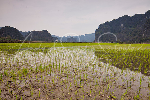04-NinhBinh-04