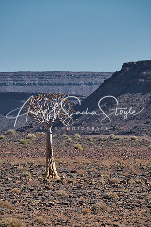 04FishRiverCanyon11