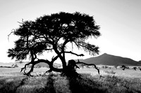 01TsondabVlei07