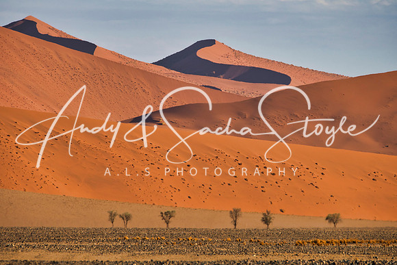 18Sossusvlei21