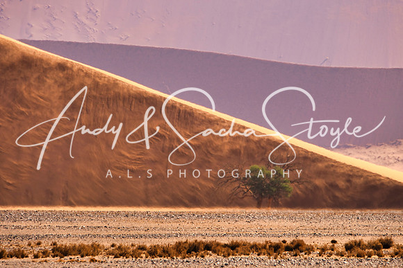 18Sossusvlei06
