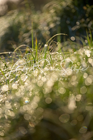 05TomareeNatParkOneMileBeach08