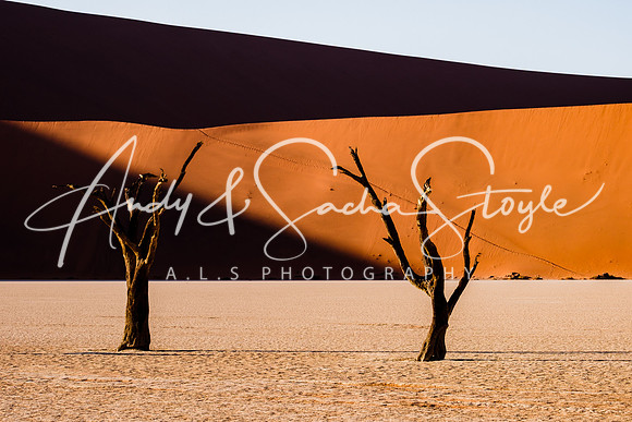19Deadvlei21