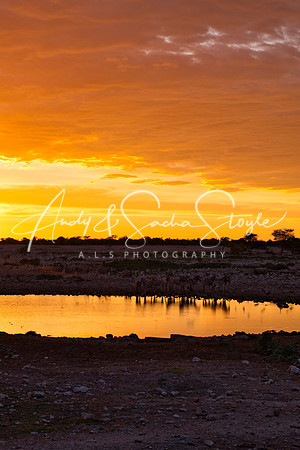 07Etosha08