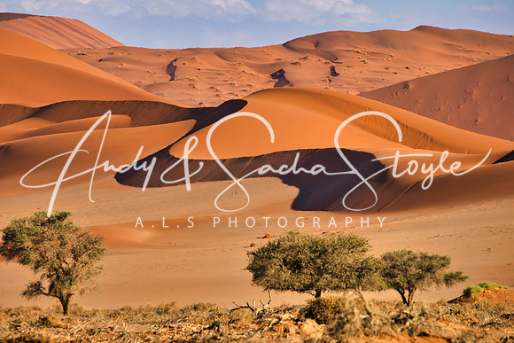 18Sossusvlei12