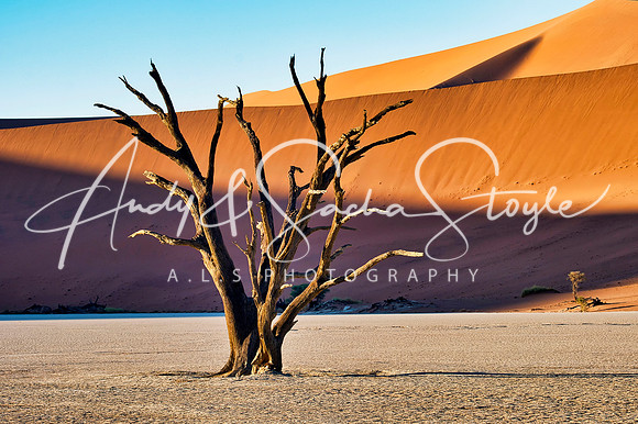 19Deadvlei12