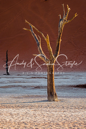 19Deadvlei14