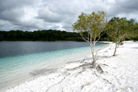 03-FraserIsland07