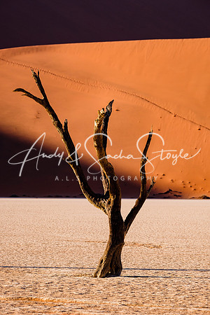 19Deadvlei22