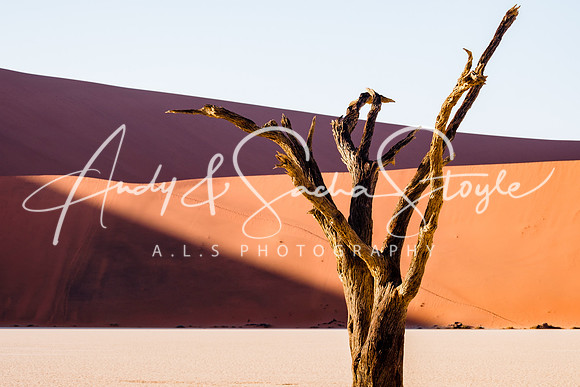 19Deadvlei19
