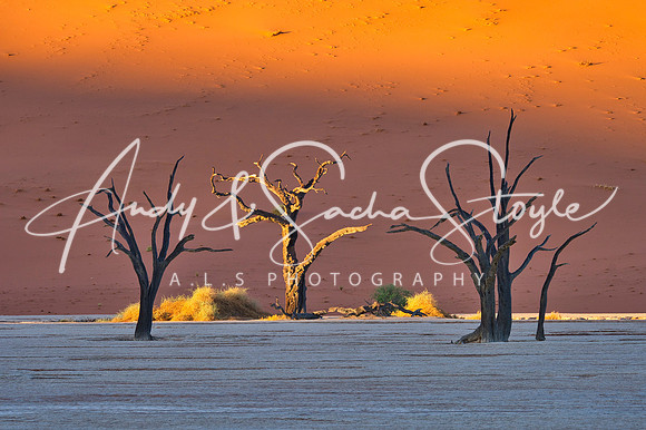 19Deadvlei05