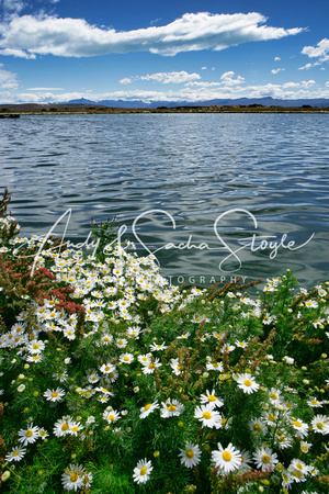 El Calafate 146a