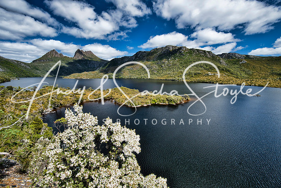 09-CradleMountain02