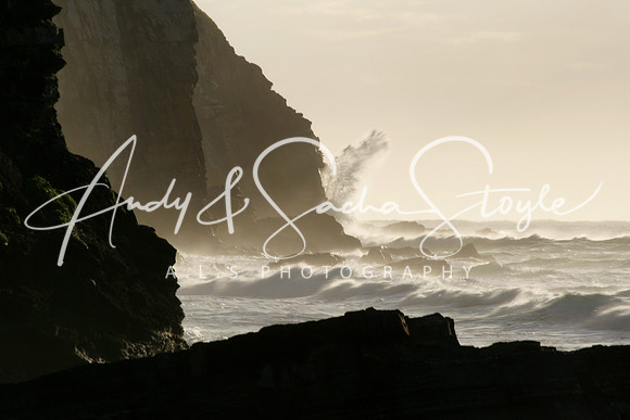 14WildCoast03