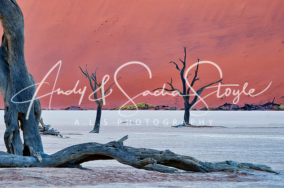 19Deadvlei04