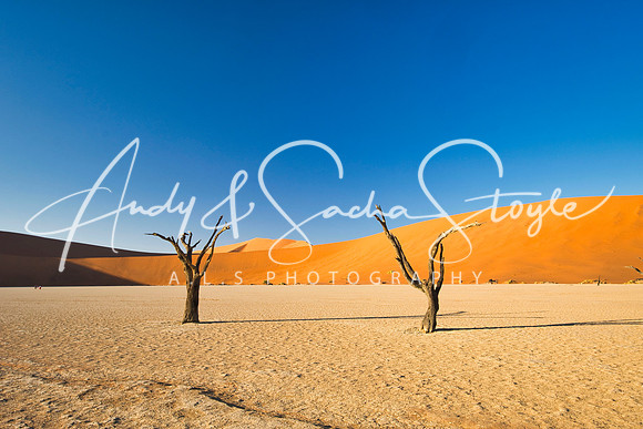 19Deadvlei18