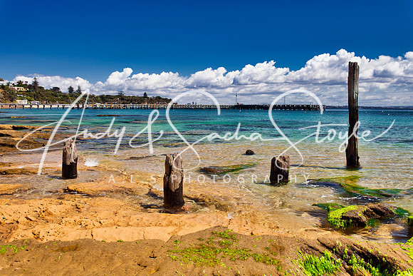 03MorningtonPeninsula11