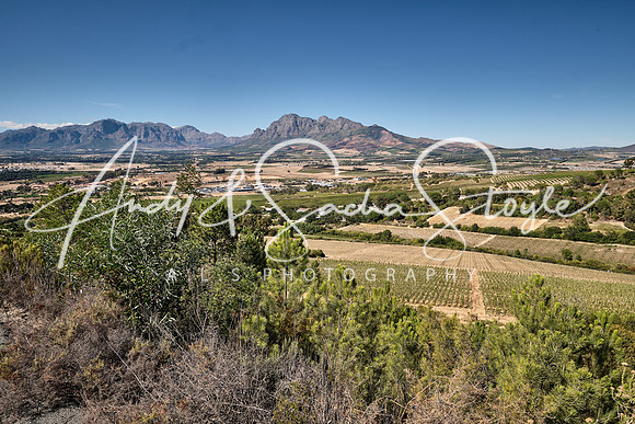 05Franschhoek02
