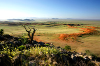 01TsondabVlei16
